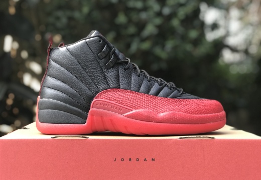 Air Jordan 12